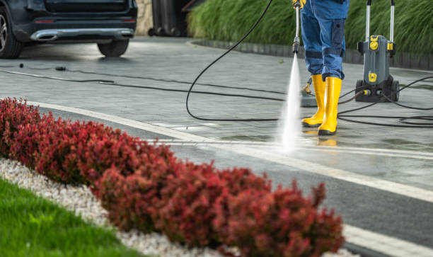 Animal Enclosure Cleaning in Grand Blanc, MI